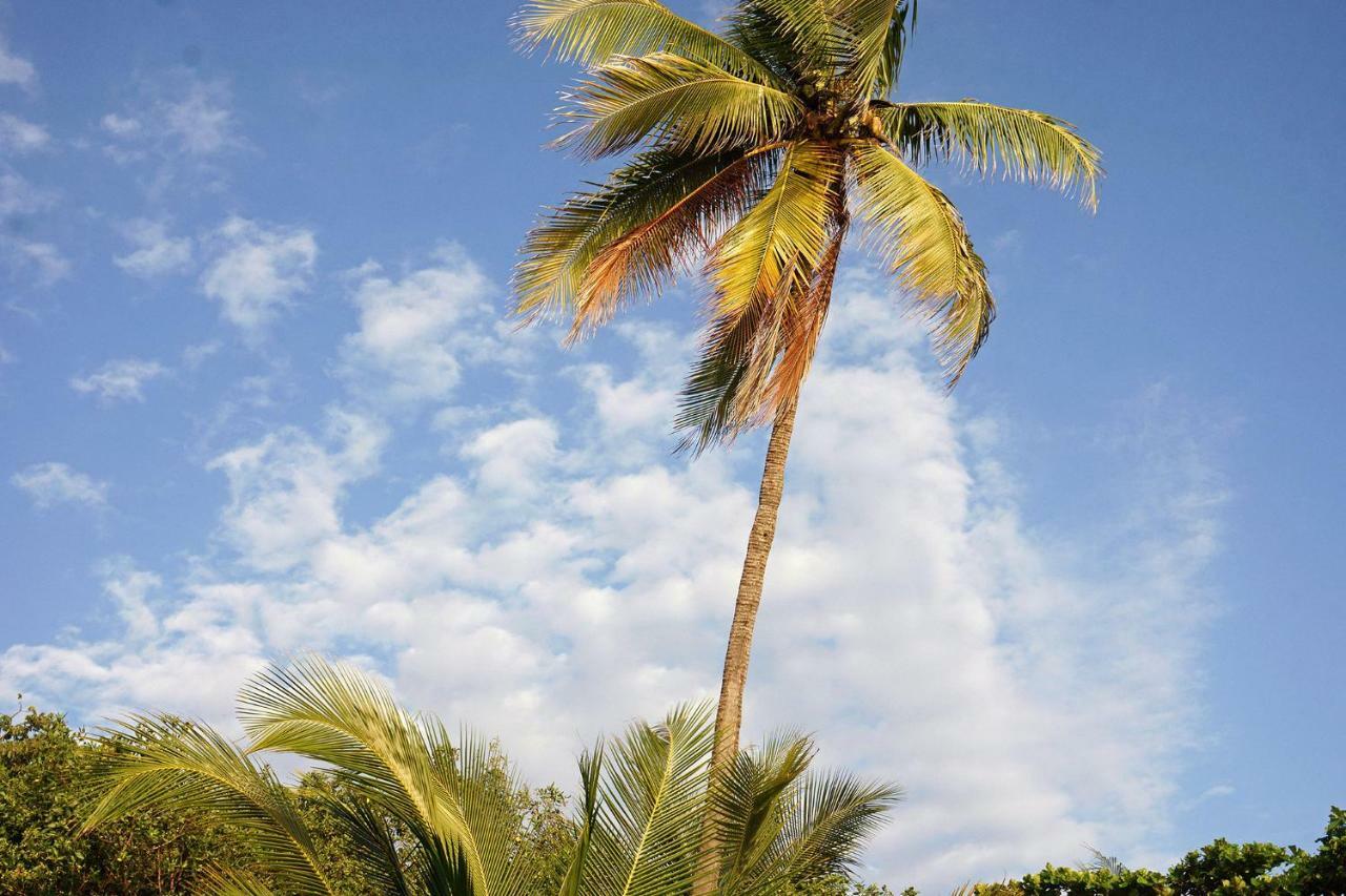 Villa Picasso Playa Santa Teresa  Exteriér fotografie